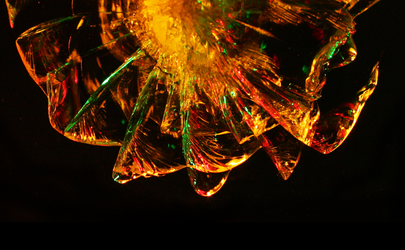 Illustration for article titled 40 Sharp and Shattered Photographs